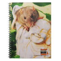 Cuaderno de la rata de Buda