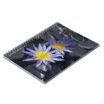 Cuaderno de los lirios de agua