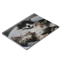 Cuaderno de tres pequeño gatitos