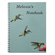 Cuaderno del colibrí