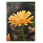 Cuaderno del diario del rezo