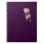 Cuaderno del iris