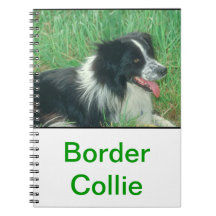 Cuaderno del perro del border collie