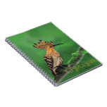 Cuaderno del Upupa