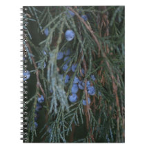 Cuaderno imperecedero de las bayas
