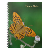 Cuaderno negro anaranjado de la mariposa