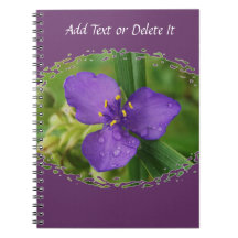 Cuaderno púrpura de la flor del Spiderwort de Virg