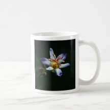 Cuadrado del lirio de sapo, taza