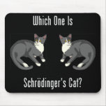 ¿Cuál es el gato de Schrodinger? Tapete De Ratón