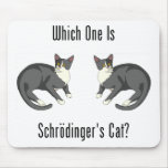 ¿Cuál es el gato de Schrodinger? Tapete De Ratones