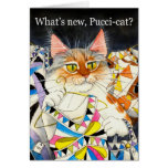 ¿Cuál es nuevo Pucci-gato? Felicitaciones