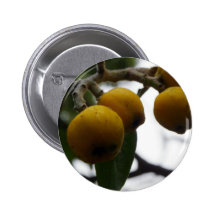 Cuando la vida le da los limones… pin