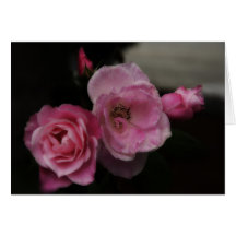 Cuatro etapas de una tarjeta Rosa-En blanco