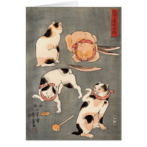 Cuatro gatos en diversa tarjeta de felicitación de