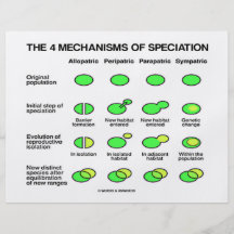 Cuatro mecanismos de Speciation (evolución) Tarjetón