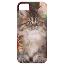 Cubierta de Iphone iPhone 5 Carcasa