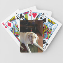 Cubierta de Labrador de tarjetas Baraja De Cartas