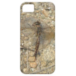 Cubierta del iphone 5 de Dragonflie iPhone 5 Funda
