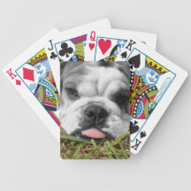 Cubierta inglesa del perro del toro de naipes barajas de cartas