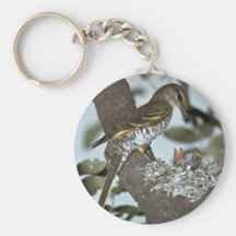 Cuco negro Shrike Llavero