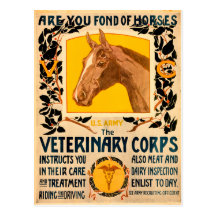 Cuerpo veterinario postal