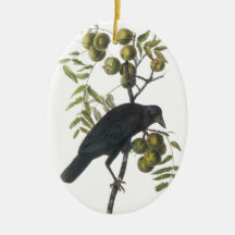Cuervo americano, John James Audubon Adornos
