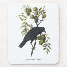 Cuervo americano, John James Audubon Alfombrilla De Raton