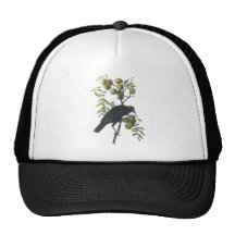 Cuervo americano, John James Audubon Gorro De Camionero