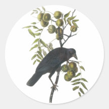 Cuervo americano, John James Audubon Etiquetas Redondas