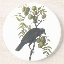 Cuervo americano, John James Audubon Posavasos Personalizados
