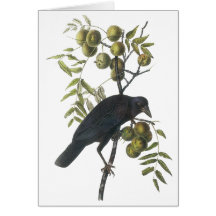 Cuervo americano, John James Audubon Tarjetón