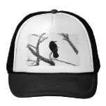 Cuervo Edgar Allan Poe del invierno de B&W Gorros Bordados