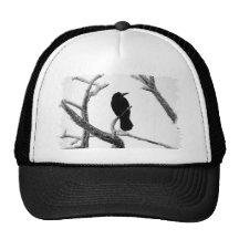 Cuervo Edgar Allan Poe del invierno de B&W Gorros Bordados