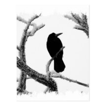 Cuervo Edgar Allan Poe del invierno de B&W Postal