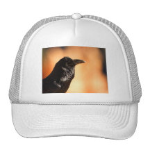 cuervo gorro