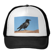 cuervo gorros  