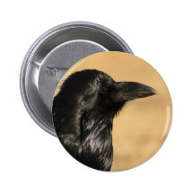 Cuervo Pin