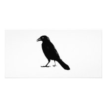 Cuervo Tarjetas Con Fotos Personalizadas