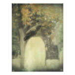 Cuervo viejo del cementerio fotografía  
