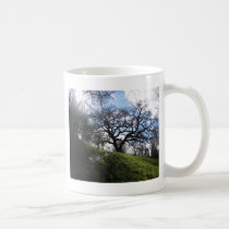 Cuesta y roble tazas