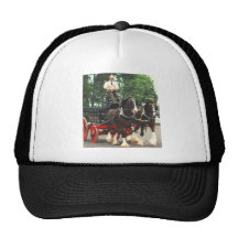 Culper, Virg2009 168 Gorro