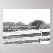 Cultive el corral de la casa/la fotografía del neg poster