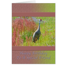 Cumpleaños, amigo, pájaro de la grúa de Sandhill Felicitaciones
