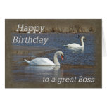 Cumpleaños de Boss - cisnes mudos en la charca del Felicitaciones