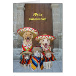 ¡Cumpleaños de Feliz del ¡! Felicitaciones