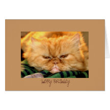 Cumpleaños de la tarjeta de felicitación feliz ...