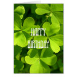 Cumpleaños del día de St Patrick Felicitaciones