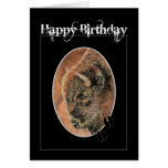 Cumpleaños divertido, bisonte, animales del búfalo tarjeta