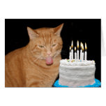 Cumpleaños divertido del gato felicitación