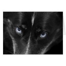Cumpleaños fornido observado azul del perro por el tarjetas